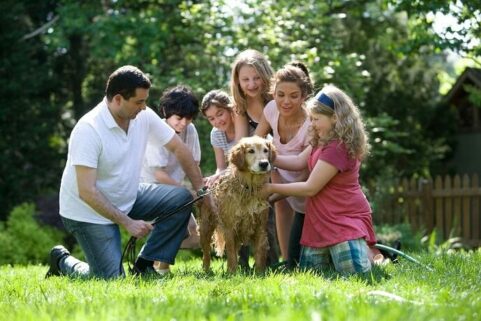 structured settlement payments for minors in a dog attack