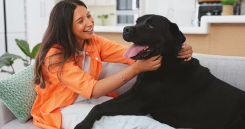 When Man's Best Friends Attacks The Psychological Toll of Dog Bites